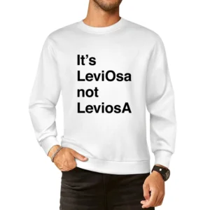 Its LeviOsa Not LeviosA Funny Harry Potter Popular Book Novel Movie Qu European Size Pullover Sweater