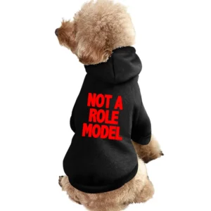 Not A Role Model Funny Beau Brooks Janoskians Popular Pet Apparel Clothes