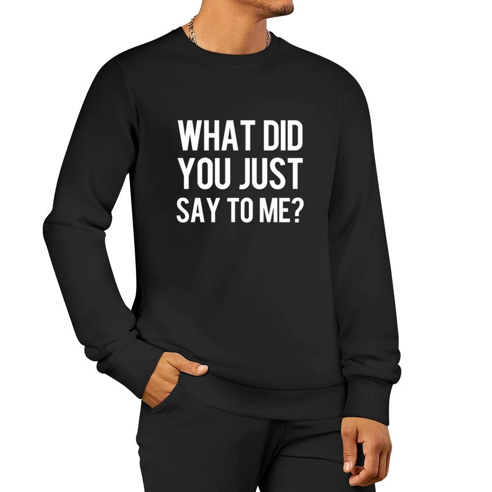 What Did You Just Say To Me Funny Popular Graphic Men Pullover Sweatshirt